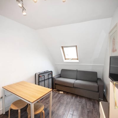 Furnished Studio Apartment for Long-Term Rent in Central Paris with Notre-Dame View